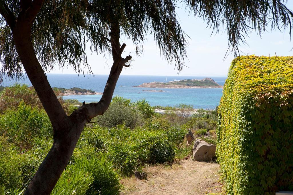 Residence Baia Salinedda Capo Coda Cavallo Room photo